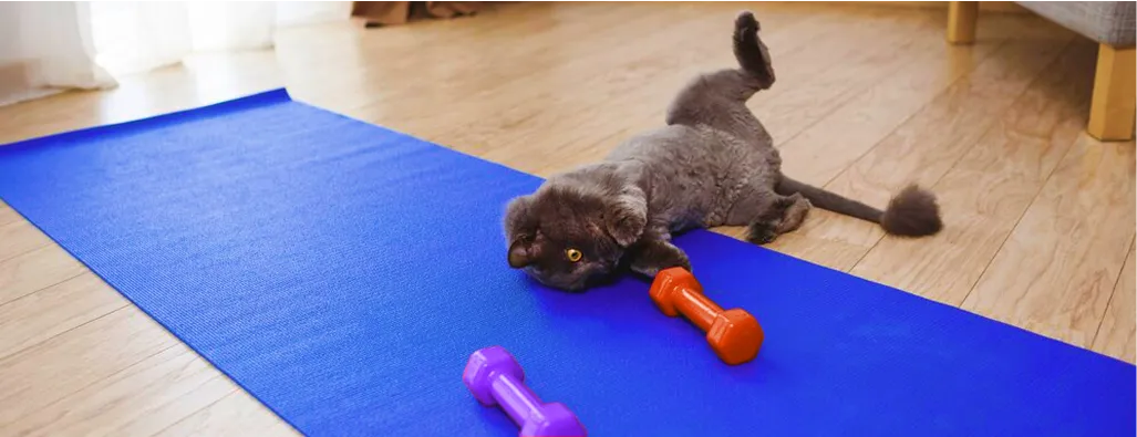 Контролируйте вторжение